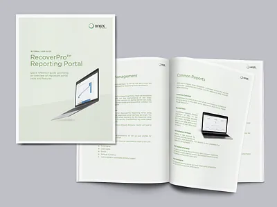 Product Portal Internal Guide - Onyx booklet booklet design branding brochure brochure design composition design editorial editorial design graphic design illustrator indesign layout magazine marketing collateral photoshop pitch deck print print design sales collateral