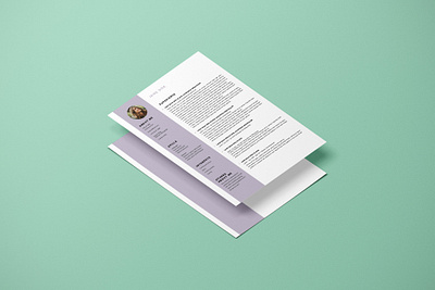 CV design branding design graphic design