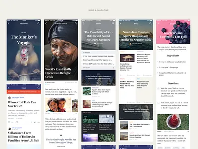 Blog and Magazine App Screens app design app design icon ui web ios guide app design ui ux blog app new app screen screenprint ui ux