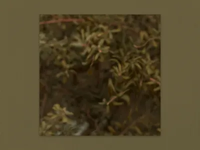 NO° 6 abstract artwork design