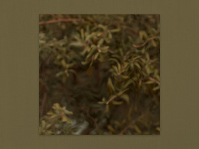 NO° 6 abstract artwork design