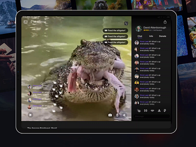 Feed the Crocodile Live Event 🐊 adobe xd adobe xd design events interaction ios ipad ipad pro mobile app mobile app design mobile ui productdesign ui user interface ux