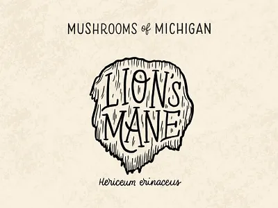 Lion's Mane Mushroom forage foraging hairy hand drawn hand lettering hand rendered type hand type illustration illustrative lettering lions lions mane mane michigan mushroom mushrooms natural nature series typography
