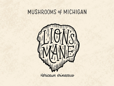 Lion's Mane Mushroom forage foraging hairy hand drawn hand lettering hand rendered type hand type illustration illustrative lettering lions lions mane mane michigan mushroom mushrooms natural nature series typography