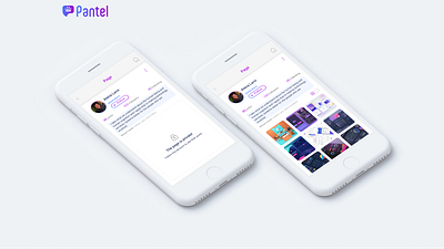 Pantel Social Media profile page social network socialmedia ui ux uidesign