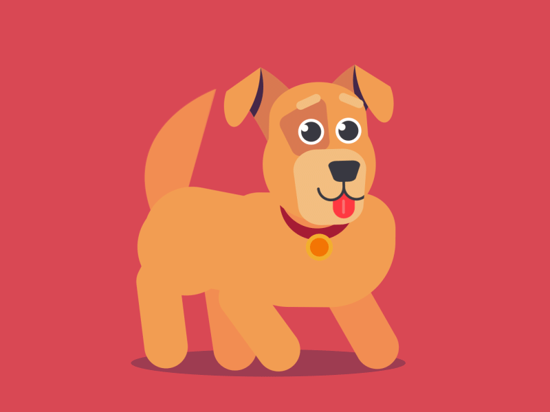 DOG animation animation 2d illustration motion motion animation motion design motion graphic