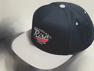 Standard Issue snapback apparel logo branding design hat logo snapback typography