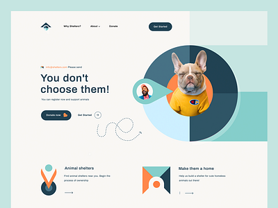 Shelters-Web Design animals branding creative daily ui drawing illustraion illustration inspiration mobile mobile app typography uidesign vector web web design website