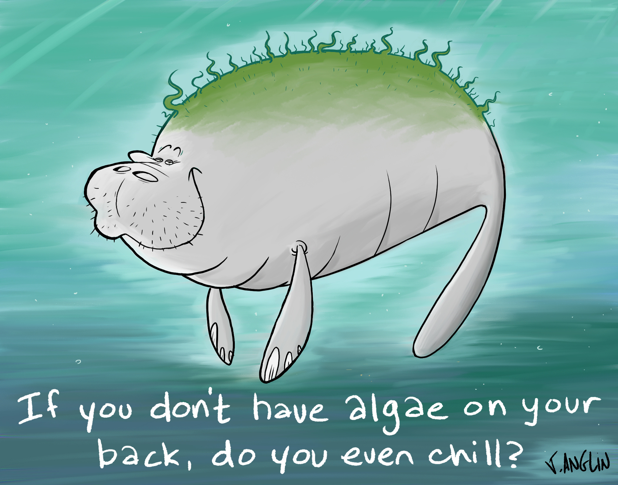Example of Chill Like Manatee