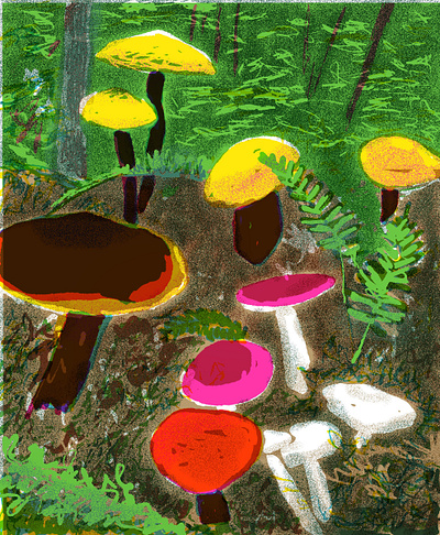 Mushrooms, ferns and forest colorful digital art ferns forest fungi illustration mushrooms