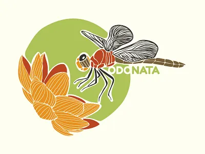 Dragonfly dragonfly flower illustration insect libelula libéllule nature vector