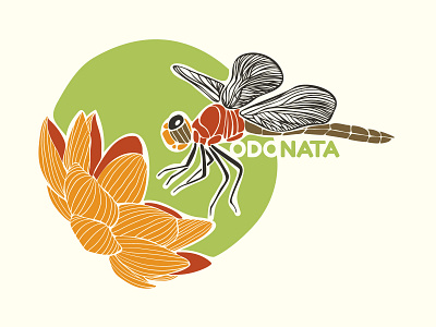 Dragonfly dragonfly flower illustration insect libelula libéllule nature vector