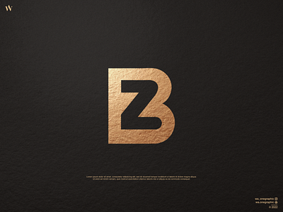 BZ Logo 3d animation app branding design graphic design icon illustration letters logo monogram typography ui ux vector