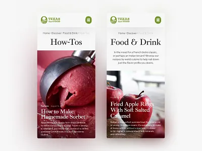 Texas News Service branding clear design drinks food graphic design logo material techwings texas tips ui ux