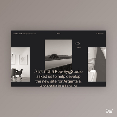 My new Portfolio - Mood Exploration clean design home minimal portfolio portfolio design typography ui web web design website