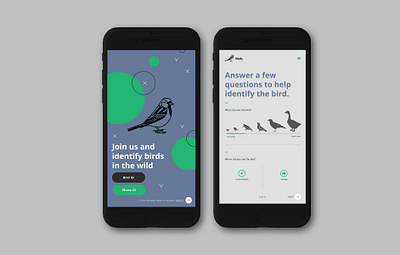 birdy app branding design flat graphic design icon minimal ui ux web