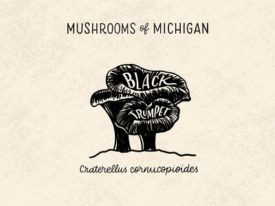 Black Trumpet Mushroom black trumpet blockprint forage foraging hand drawn hand lettering identification illustration illustrative lettering michigan mushroom mushrooms natural nature nature art nature illustration sketchy typography woods