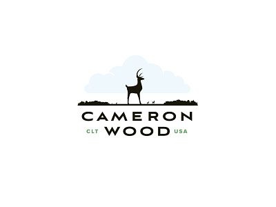 Cameron Wood - Logo Explore v3 branding design logo north carolina type typography