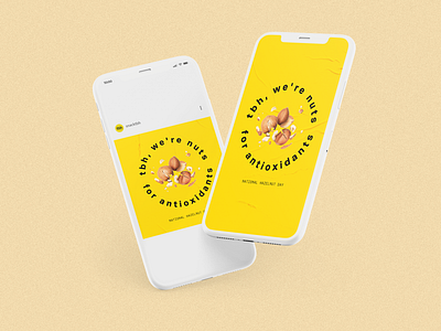 National Hazelnut Day Design food graphic design nuts snack social media design story
