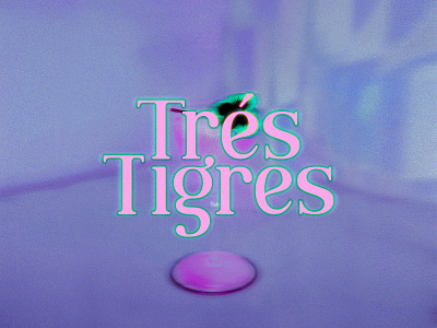 Tres Tigres Cocktail Bar Visual Identity bar branding cocktail design graphic design identity illustration logo logotype typography visual