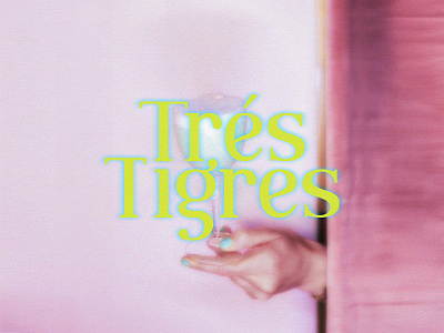 Tres Tigres Cocktail Bar Visual Identity advertising alcohol branding design graphic design identity illustration logo logotype typography vector visual