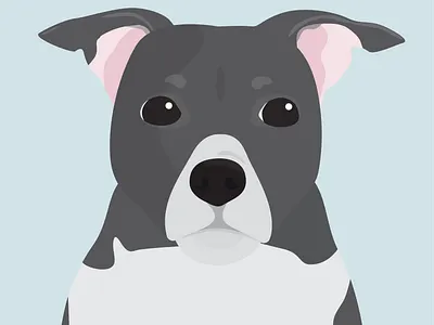 Charlie custom design illustration