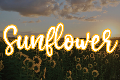 Sunflower Handwritten Font calligraphy font classy font display font elegant font handwriting fonts handwritten font invitation font lettered letterhead fonts ligature collective