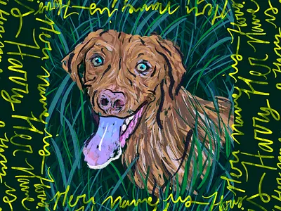 Her name is Harry dog illustration illustration procreate vizsla