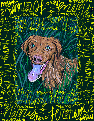 Her name is Harry dog illustration illustration procreate vizsla