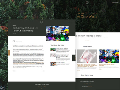 Your Journey to Zero Waste - home and blog pages brand identity branding eco minimal mockup web design website