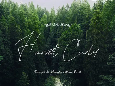 harvest curly calligraphy curly font font fonts graphicdesign handdrawn font handwritten harvest curly font illustration quote scriptfont typo typography