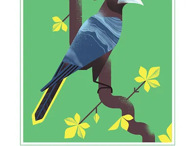 Chestnut Headed oropendula animal bird blue character design fly geometric illustration texture vector