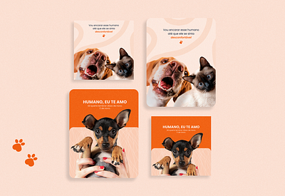 Produção de conteúdo | Pets graphic design