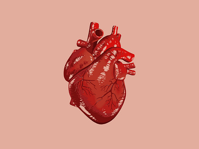 Happy ❤️ Weekend design digital illustration heart hearts human heart illustration illustration art illustration digital procreate procreate art procreate brushes procreateapp valentine valentine day valentines valentines day valentinesday