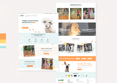 Animal Organization - BAWA Website redesign animals charity donate donation nonprofit volunteers