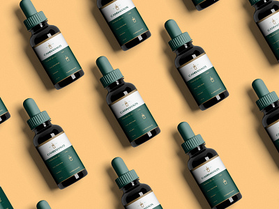 Cannahaus Branding, Dropper bottle design brand identity branding cannabis branding cannabis logo cannabis packaging design logo