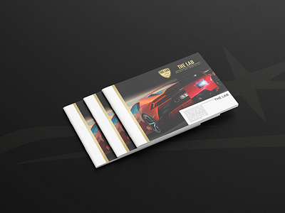 brochure design (THE LAB) branding brochure design brouchure design graphic graphicdesign icon print design typography