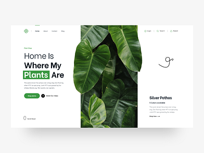 Plants Shop header header design header exploration headers hero header landing landingpage plant plants popular design shop ui ui ux ux web web design web ui webdesign website website design