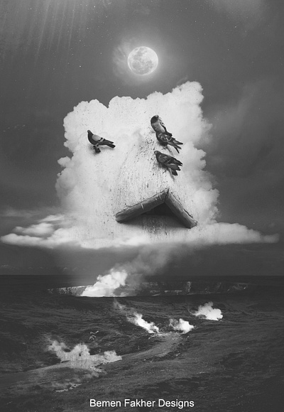 Pigeons in the clouds adobe albumcover art artwork blackandwhite clouds design digitalart light moon moonlight photomanipulation photoshop pigeon ps surreal white