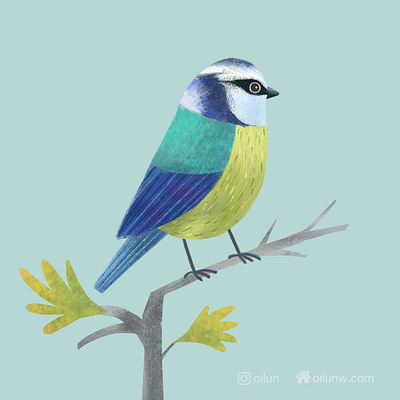 It’s always soothing to draw birds. animal animal art art licensing bird art digital illustration photoshop