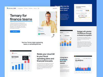 Ternary for Finance Teams app b2b brand strategy branding cloud cms colors development finops interface logo product design saas typography ui user experience ux visual identitiy web design website