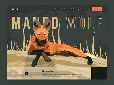 Endangered animals Website Concept animals design figma graphic design illustration nature ui ux web website wild wolf