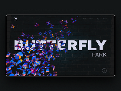 Butterfly Park design web ui ux freelance minimal ui ux web