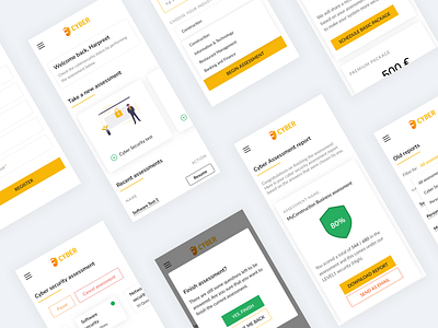 Cyber security assessment application design branding cybersecurity dailyui figma interface minimal ui uidesign uxdesign