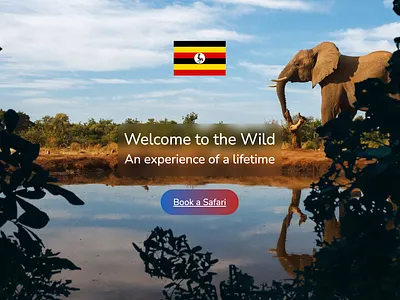 Travel website prototype travel