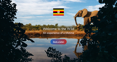 Travel website prototype travel