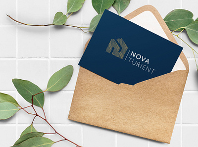 Novaturient // Bussines card brand identity branding bussines card design illustration logo logotype typography