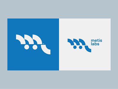 Identity Design MetisLabs WIP branding design graphic design identity design logo typography vector