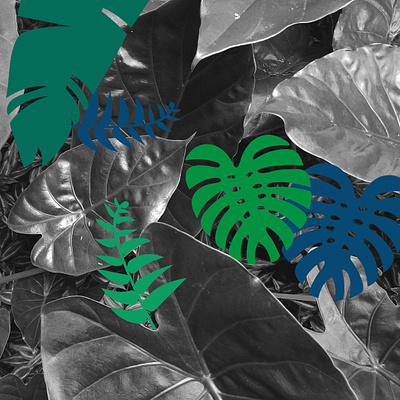 Digital Jungle art and photo artwork illustraion illustration illustration art ilustración ilustração jungle photoshop plants urban jungle