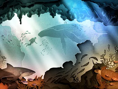 National Geographic Oceans 2d aftereffects design illustration vector